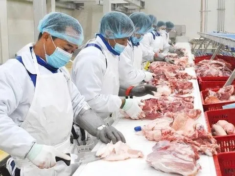 Ông chủ heo ăn chay BAF lãi lớn nhất lịch sử kinh doanh