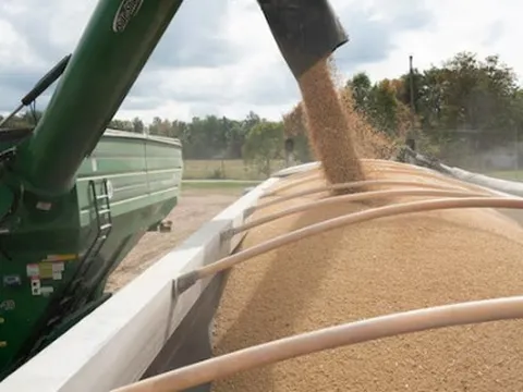 Trung Quốc dư thừa một mặt hàng, nông dân Mỹ ‘ngồi trên đống lửa’