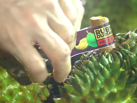 Phía Trung Quốc nói gì sau chuyến kiểm tra vùng trồng sầu riêng Việt Nam?