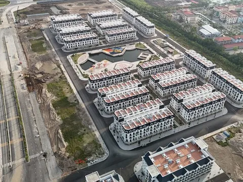 Tài chính Hoàng Huy lãi quý I/2025 chưa đầy 60 tỷ đồng, mới hoàn thành 3% kế hoạch năm