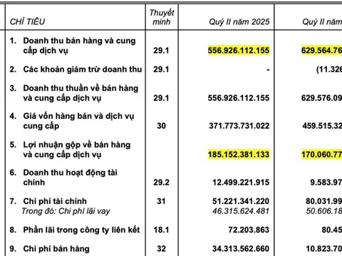 Taseco Land ghi dấu với chiến lược tăng trưởng bền vững quý 2/2025