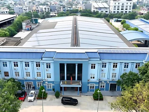 CTCP Damsan lợi nhuận 6 tháng đầu năm 2025 tăng đột biến