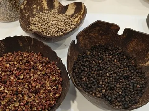 Thu 55 tỉ nhưng hoàn thuế tới 2.135 tỉ đồng, tới lượt ngành tiêu lên tiếng