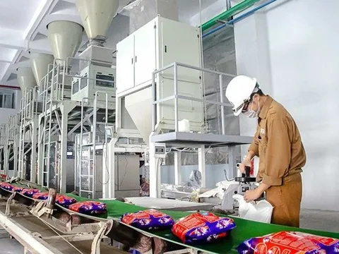 Cổ phiếu hoá chất DGC được định giá trên 120.000 đồng