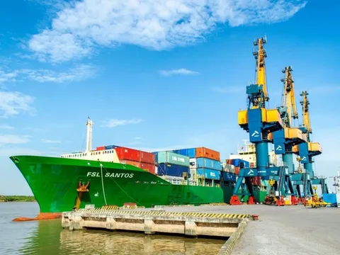 Công ty sở hữu đội tàu container lớn nhất Việt Nam báo lãi sau thuế quý 2/2025 gấp 3 lần cùng kỳ, lập đỉnh lợi nhuận