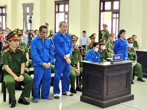 Bà chủ 3 công ty bất động sản Nguyễn Thị Cẩm Hồng đã lừa đảo số tiền lớn mức nào?