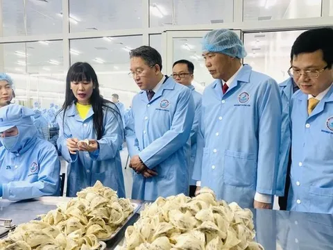 Doanh thu giảm tốc, Sanvinest vẫn giữ đà lợi nhuận