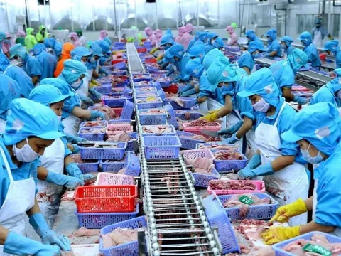 Ngành thủy sản Việt Nam đang "để trống sân nhà”