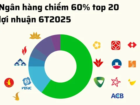 20 doanh nghiệp niêm yết lãi lớn nhất 6T2025: 60% là ngân hàng, 15% là bất động sản, chỉ có 1 DN sản xuất