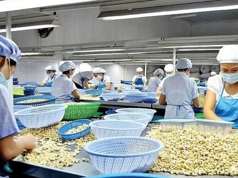Mỹ áp thuế 20% với hàng Việt Nam: Doanh nghiệp, chuyên gia kỳ vọng giảm thêm