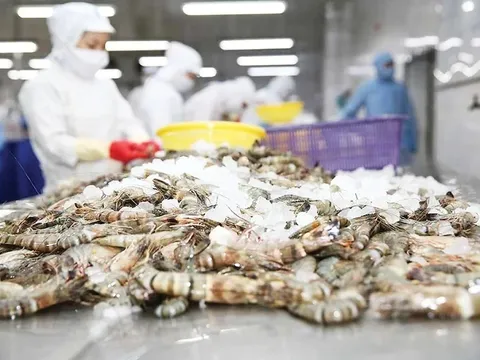 Ngành hàng xuất khẩu tỷ USD kiến nghị bỏ thuế VAT