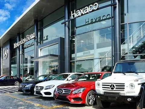 Lô đất hơn 6.200m2 tại Tp.HCM của Haxaco "ế khách" đấu giá