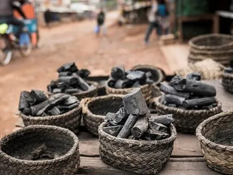 Nga đưa sang Việt Nam hàng triệu tấn 'vàng đen' với giá siêu rẻ: thuế nhập khẩu 5%, Moscow nắm trữ lượng đủ dùng trong 500 năm