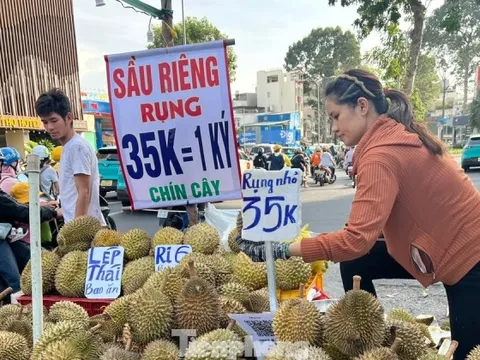 Bất ngờ sầu riêng giá 35.000 đồng/kg: 'Bao ăn, bao đổi'