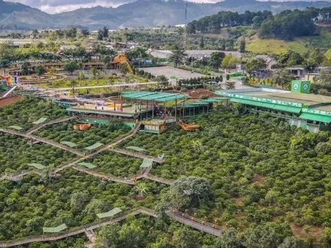 Du khách bất bình với giá cà phê 100.000 đồng ở Đà Lạt, lãnh đạo phường lên tiếng