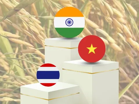 Không phải sầu riêng, Việt Nam vượt mặt Thái Lan đứng thứ 2 thế giới về xuất khẩu một mặt hàng tỷ đô, đạt kỷ lục gần 5 triệu tấn trong nửa đầu năm