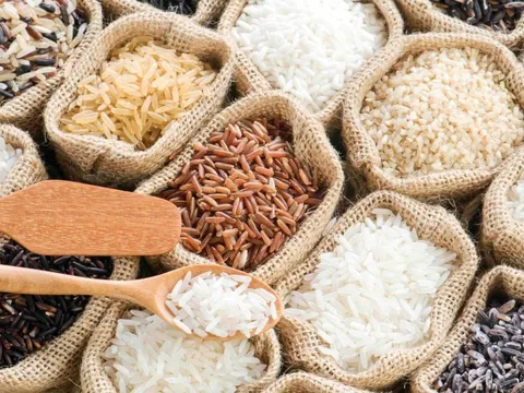 Không còn là "chiếu dưới": Việt Nam chính thức vượt Thái Lan trong một lĩnh vực nuôi sống nửa thế giới