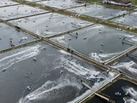 Bị Mỹ áp thuế mạnh tay với mặt hàng chủ lực, quốc gia Đông Nam Á quay xe xuất khẩu sang Trung Quốc, khẳng định: Chúng tôi có một cơ hội rất lớn ở đây!