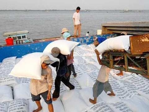 Vì sao đề nghị bỏ xuất khẩu gạo khỏi danh mục kinh doanh có điều kiện?