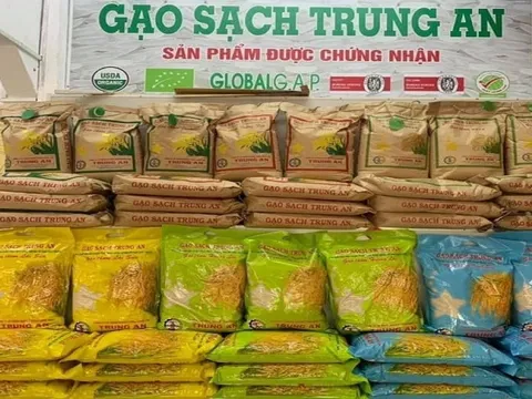 Gạo Trung An nối dài chuỗi thua lỗ
