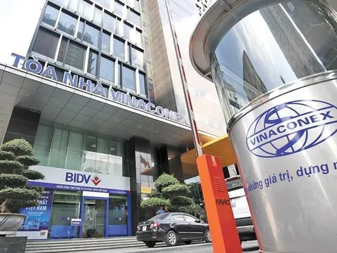 Vừa trúng thầu loạt dự án trọng điểm, Vinaconex báo lãi quý II/2025 tích cực