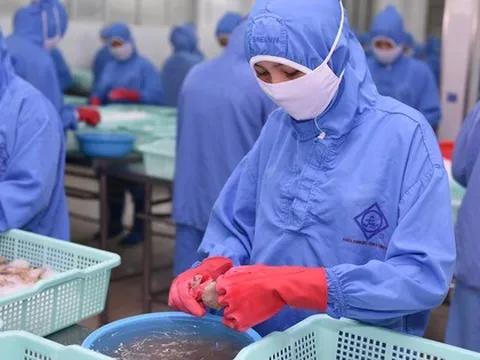 Thuế quan của Mỹ có hiệu lực từ 7-8, doanh nghiệp Việt chủ động thích ứng