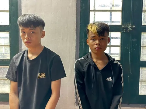 Bắt 2 anh em Đào Duy Hổ và Đào Duy Gấu