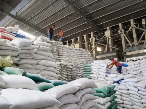 Doanh nghiệp gạo "cầu cứu" Bộ Công Thương