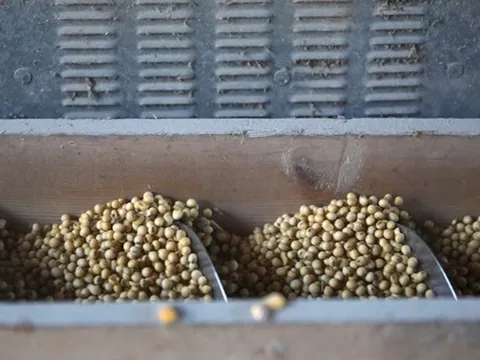 Trung Quốc xoay trục xuất khẩu mặt hàng then chốt, khẳng định sẵn sàng hy sinh công suất để không mua hàng Mỹ