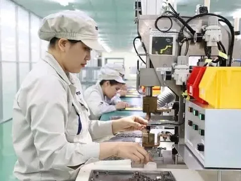 Kiến nghị bãi bỏ 16 ngành, nghề kinh doanh có điều kiện