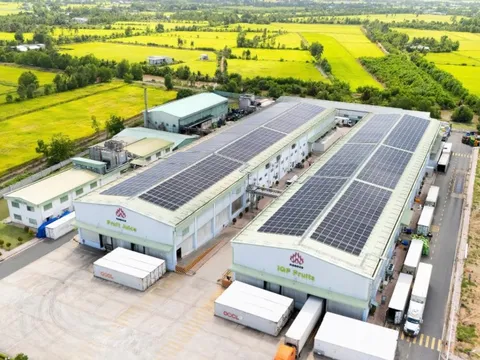 Doanh thu – lợi nhuận kỷ lục, Nafoods khởi công xây dựng NASOCO giai đoạn 2