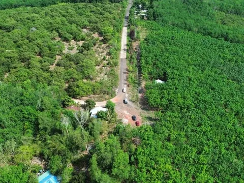 Đề xuất làm đường xuyên rừng, kết nối Đồng Xoài và Vành đai 4 TPHCM