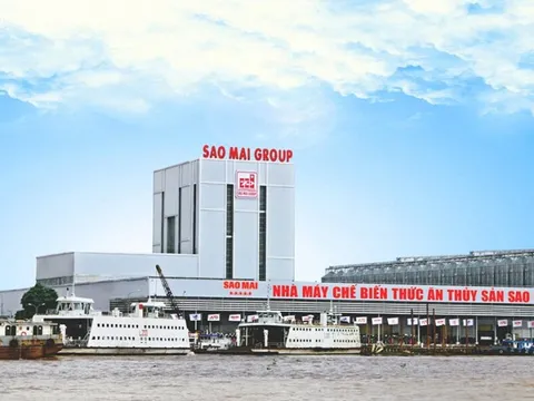 Sao Mai báo lãi teo tóp, tiền mặt “bốc hơi” một nửa