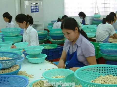 Đàm phán thương mại cần 'ông cho chân giò, bà thò chai rượu'