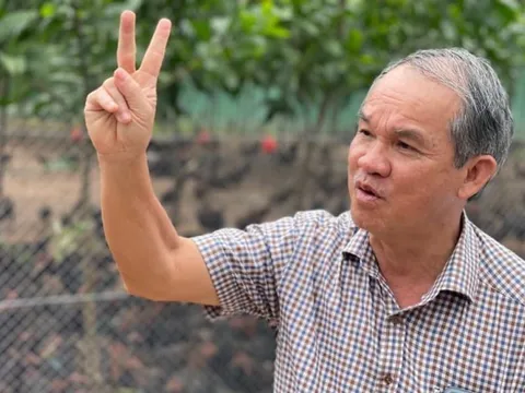 Thương vụ "cha bán - con mua" hàng trăm tỷ đồng tại HAGL của gia đình bầu Đức