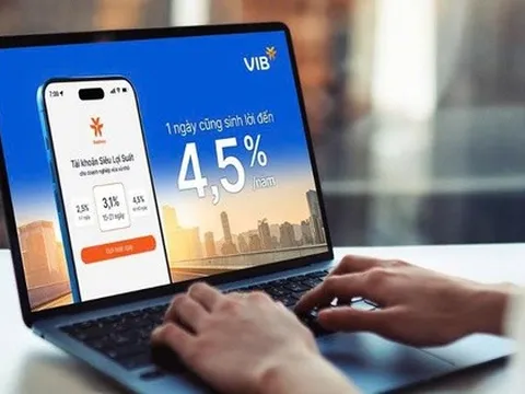 Nhiều doanh nghiệp Việt lựa chọn giải pháp sinh lời của VIB cho dòng vốn ngắn hạn