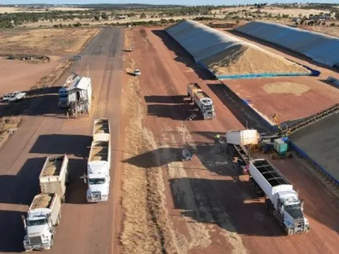 Mỹ, Canada đua nhau gửi một loại ‘báu vật’ vào Việt Nam với giá siêu rẻ: Thuế nhập khẩu 0%, nước ta tiêu thụ top đầu thế giới