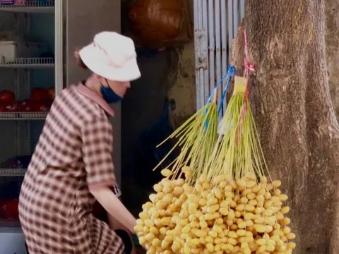 Chà là tươi Thái Lan giá rẻ bán khắp Hà Nội