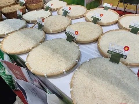 Giá gạo Việt Nam mạnh mẽ chưa từng thấy, điều gì đang xảy ra?