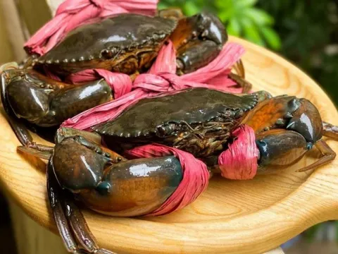 Mặt hàng Việt Nam lập đỉnh 10 năm, thị trưởng tỷ dân mua mạnh: Cơ hội vàng vươn mình trên bản đồ thế giới