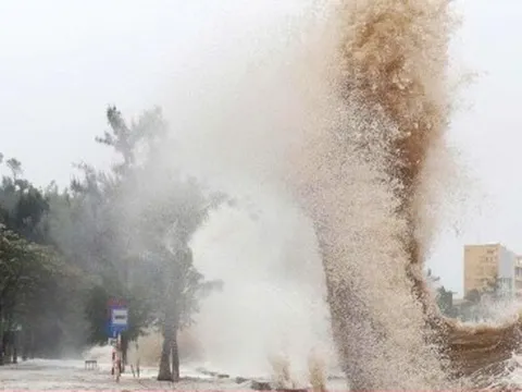 Biển Đông sắp đón áp thấp nhiệt đới, cả nước mưa như trút