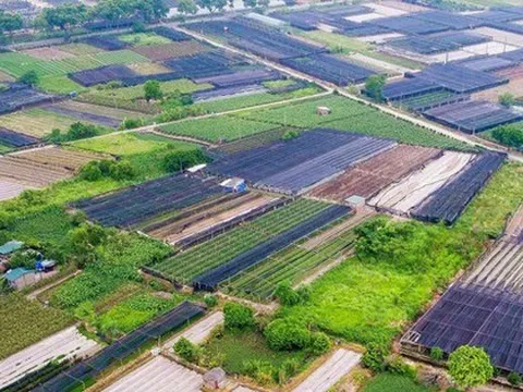 Nhiều quy định mới về đất đai có hiệu lực từ ngày 15-8