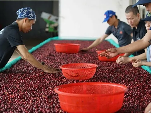 Xuất khẩu vào Mỹ bắt đầu khó, doanh nghiệp thận trọng từng đơn hàng