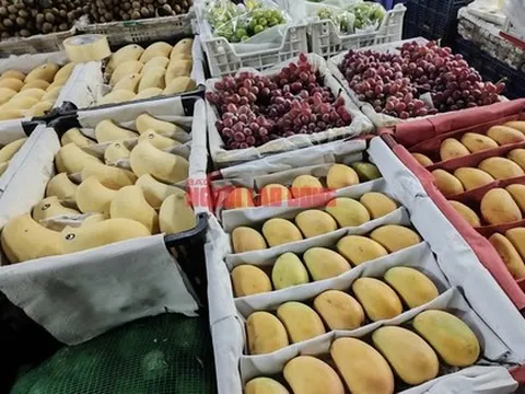 Bất ngờ về lượng xoài Trung Quốc về chợ TP HCM