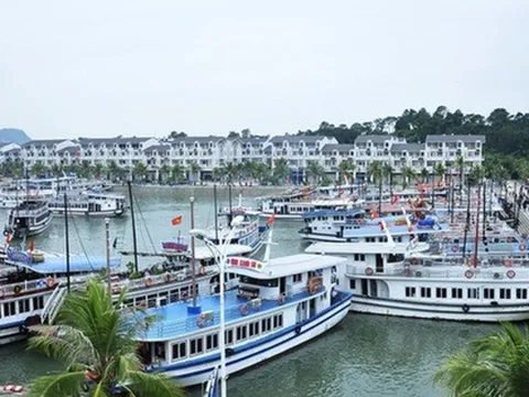Quảng Ninh tạm ngừng cấp phép các hoạt động tham quan, lưu trú trên vịnh Hạ Long