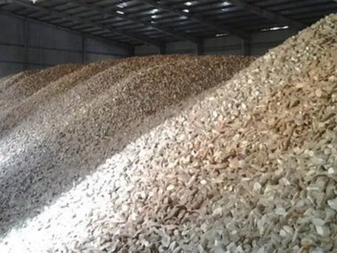 'Vựa lúa dưới lòng đất' của Việt Nam được Malaysia đổ tiền thu mua hàng nghìn tấn: xuất khẩu tăng hơn 500%, nước ta có sản lượng 10 triệu tấn/năm