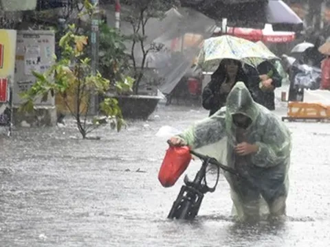 Áp thấp nhiệt đới cách Bạch Long Vĩ 50km, miền Bắc có nơi mưa rất to trên 300mm