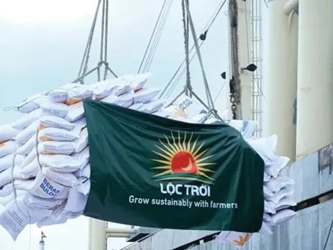 Thành viên ban kiểm soát Bamboo Capital (BCG) được đề cử vào ban kiểm soát Lộc Trời (LTG) giữa rối ren nhân sự