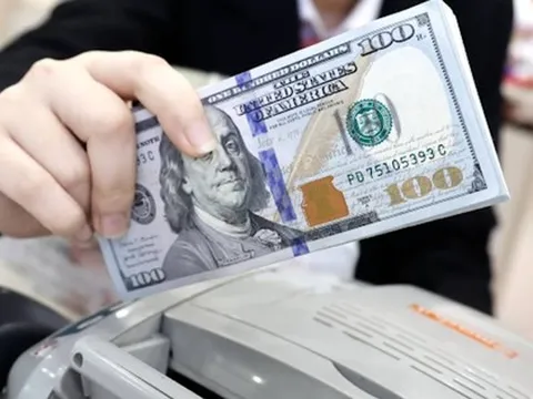 Không chỉ vàng miếng SJC, giá USD tại Việt Nam cũng lập đỉnh