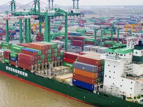 Viconship trình cổ đông kế hoạch tăng lợi nhuận năm 2025 lên 1.250 tỷ đồng